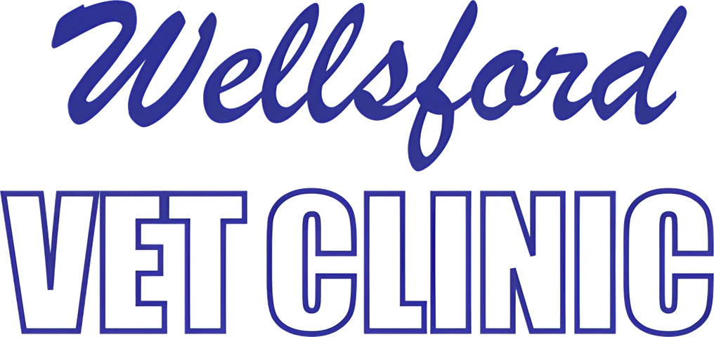 Wellsford Vet Clinic