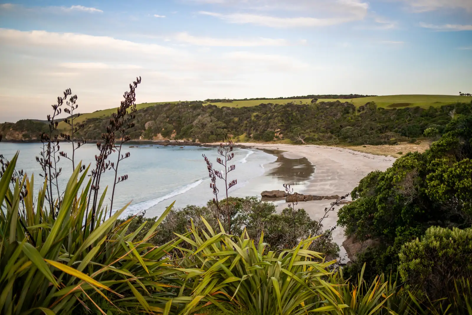 Coastal farmland above Anchor Bay at Tāwharanui near Warkworth